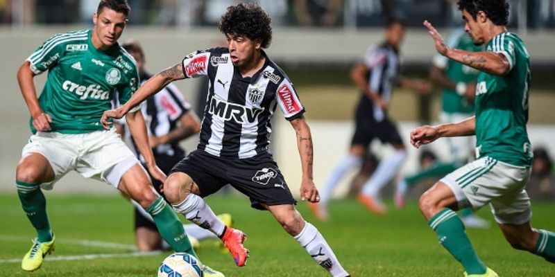 Thể thức thi đấu chuyên nghiệp tại VĐQG Brazil